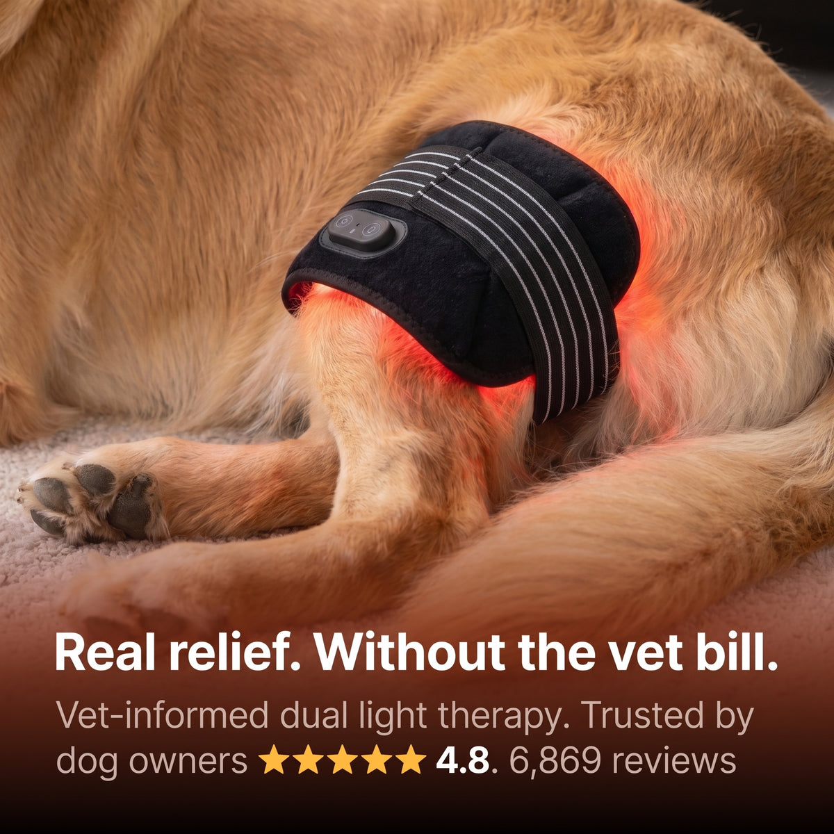 Nuzzlure™ Wireless Red Light Therapy Device for Dogs