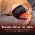 Nuzzlure™ Wireless Red Light Therapy Device for Dogs