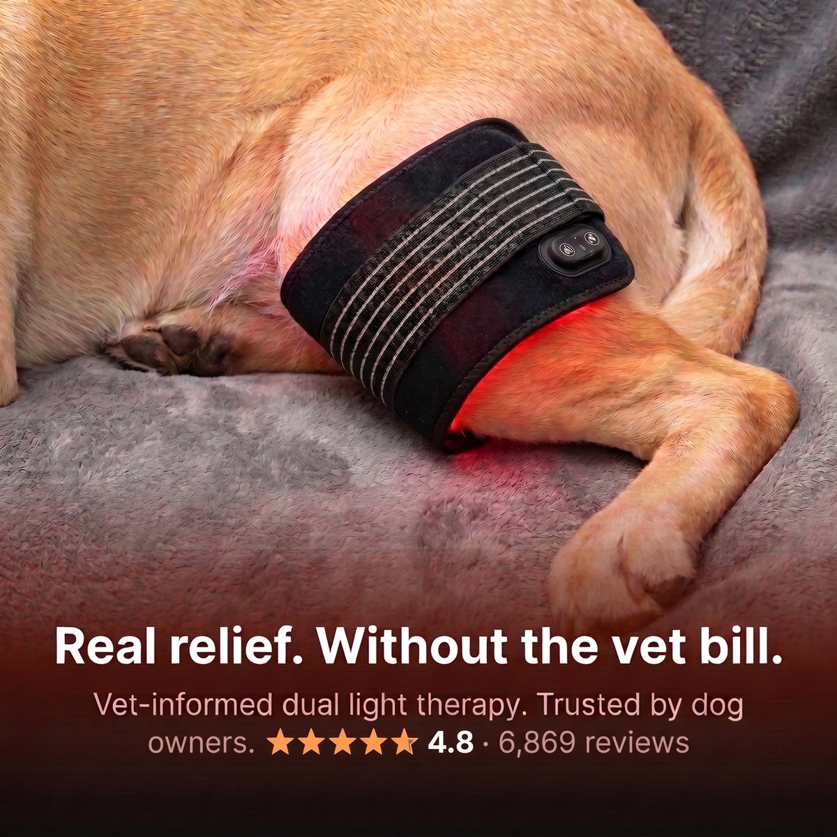 Nuzzlure™ Wireless Red Light Therapy Device for Dogs