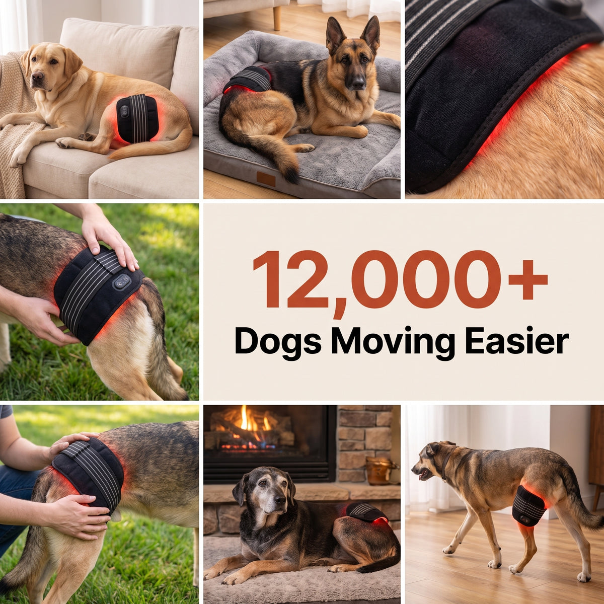 Nuzzlure™ Wireless Red Light Therapy Device for Dogs